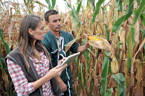 jeunes_agriculteurs_champ_c_goodluz_fotolia.jpg